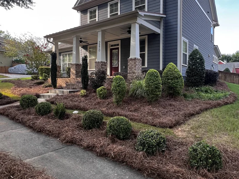 Rejon Proscapes completed landscaping project 6
