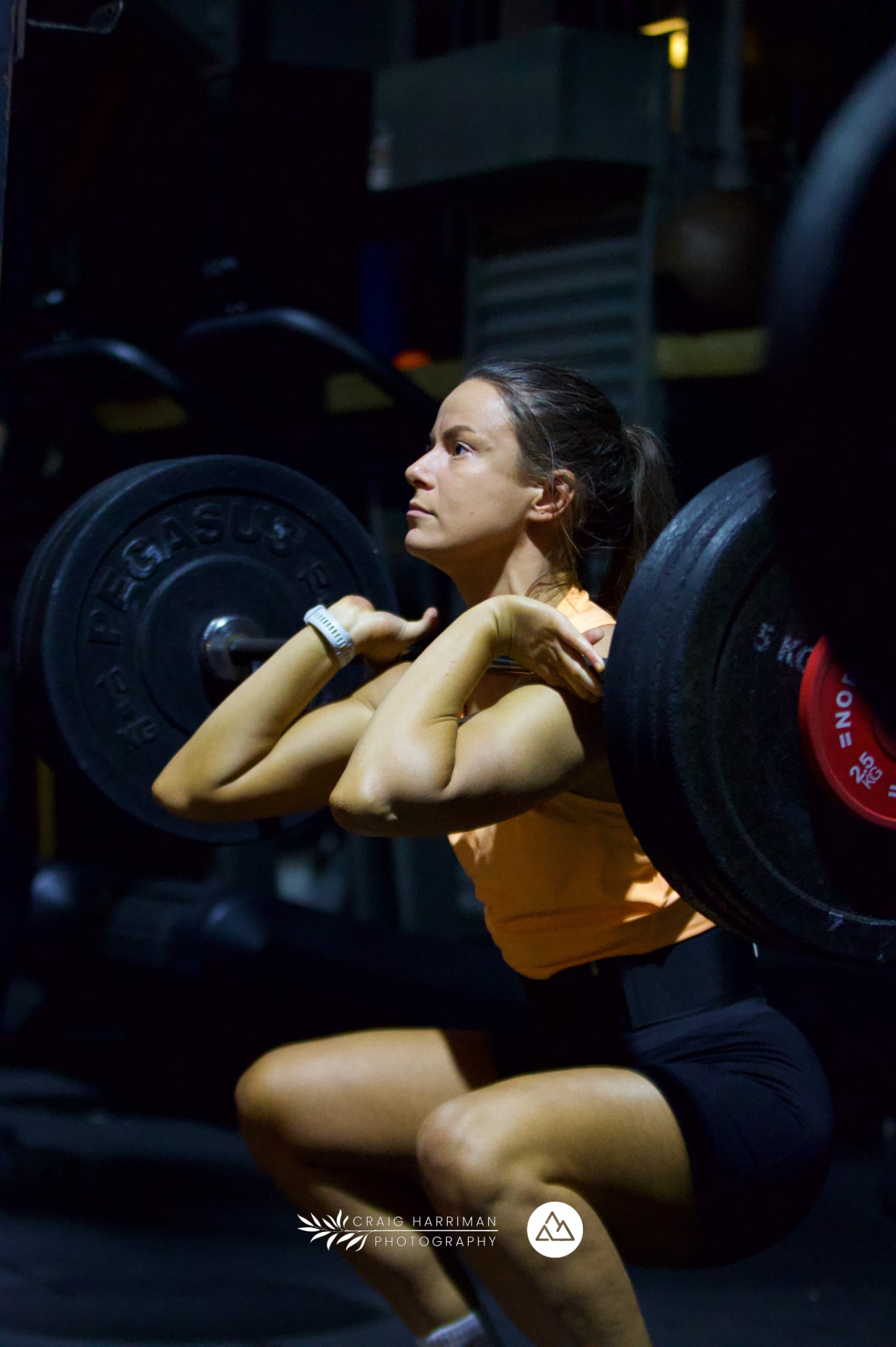 Glacier functional fitness training area