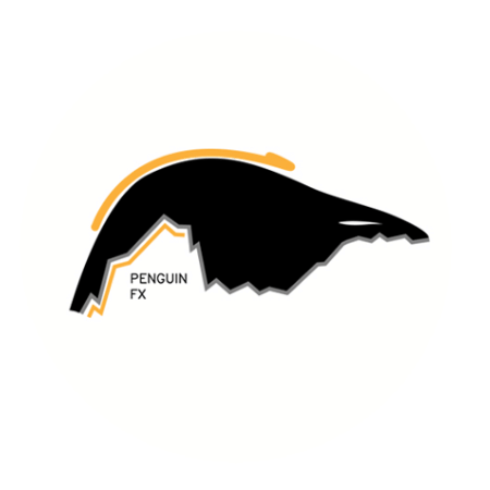 Penguin FX Academy