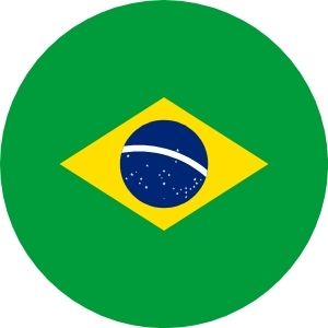 Pedro Silveira business logo