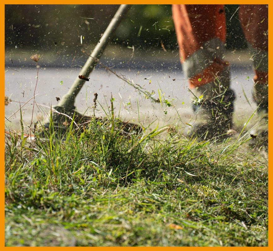 Lawns being mown in Wellington by Better Call Ted