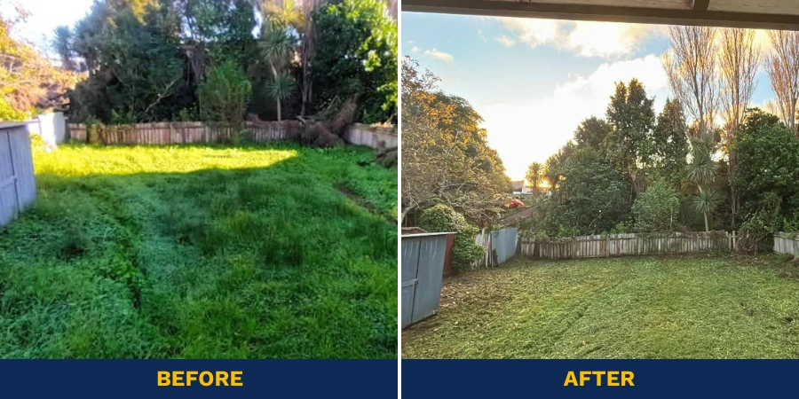 Freshly cut and edged lawn after Better Call Ted’s mowing service in Wellington