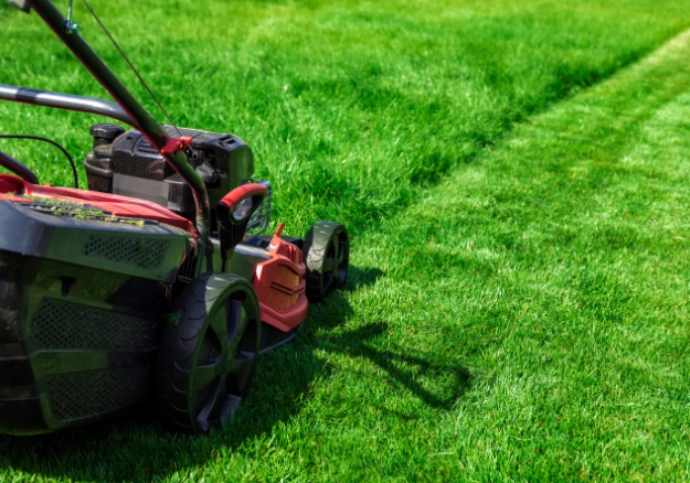 Professional lawn mowing and edging service in Wellington, Porirua, and Kāpiti Coast