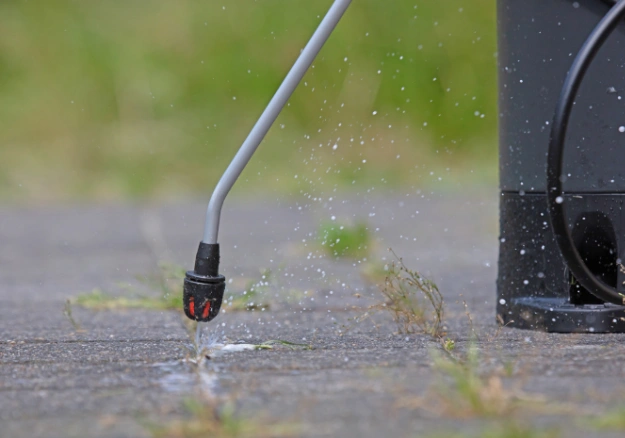 Garden bed weed removal and weed control service in Kāpiti and Wellington