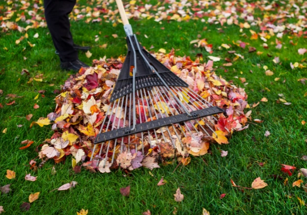 Full garden clean-up and tidy yard restoration by Better Call Ted in Wellington