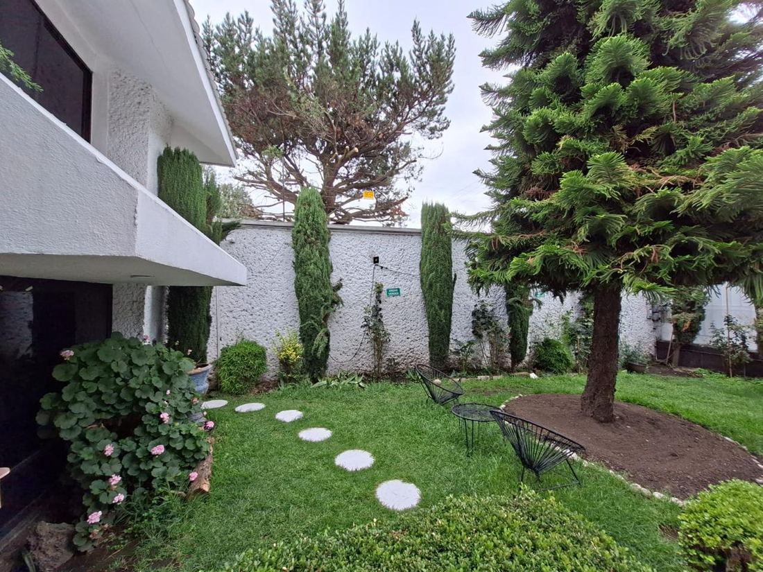 Jardín con árboles y sillas para descansar