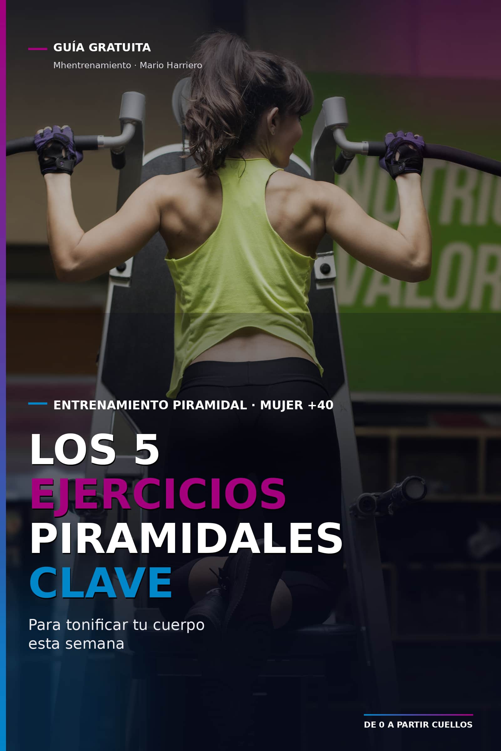 Guía 5 Ejercicios
