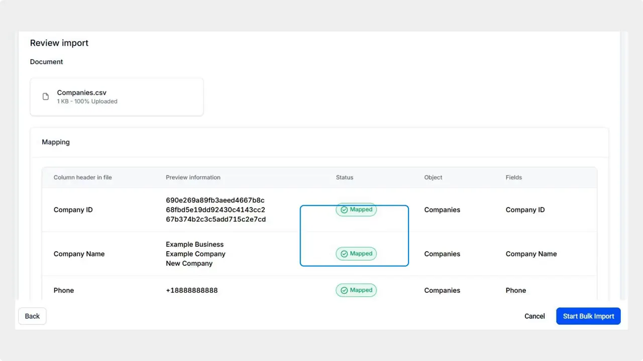 Import mapping review screen showing CSV columns (Company ID, Company Name, Phone) with preview values and 'Mapped' status indicators.