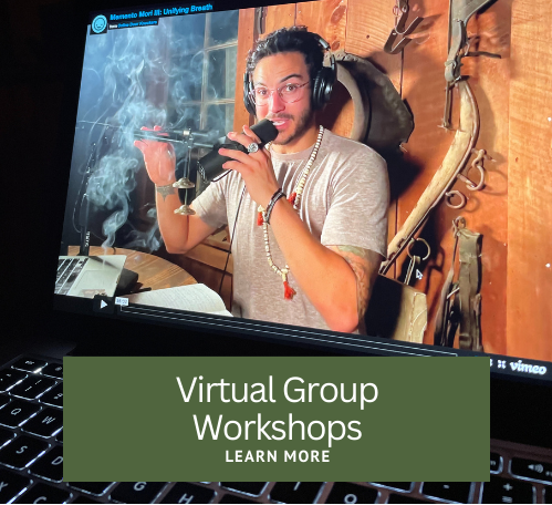 Virtual Group Workshops