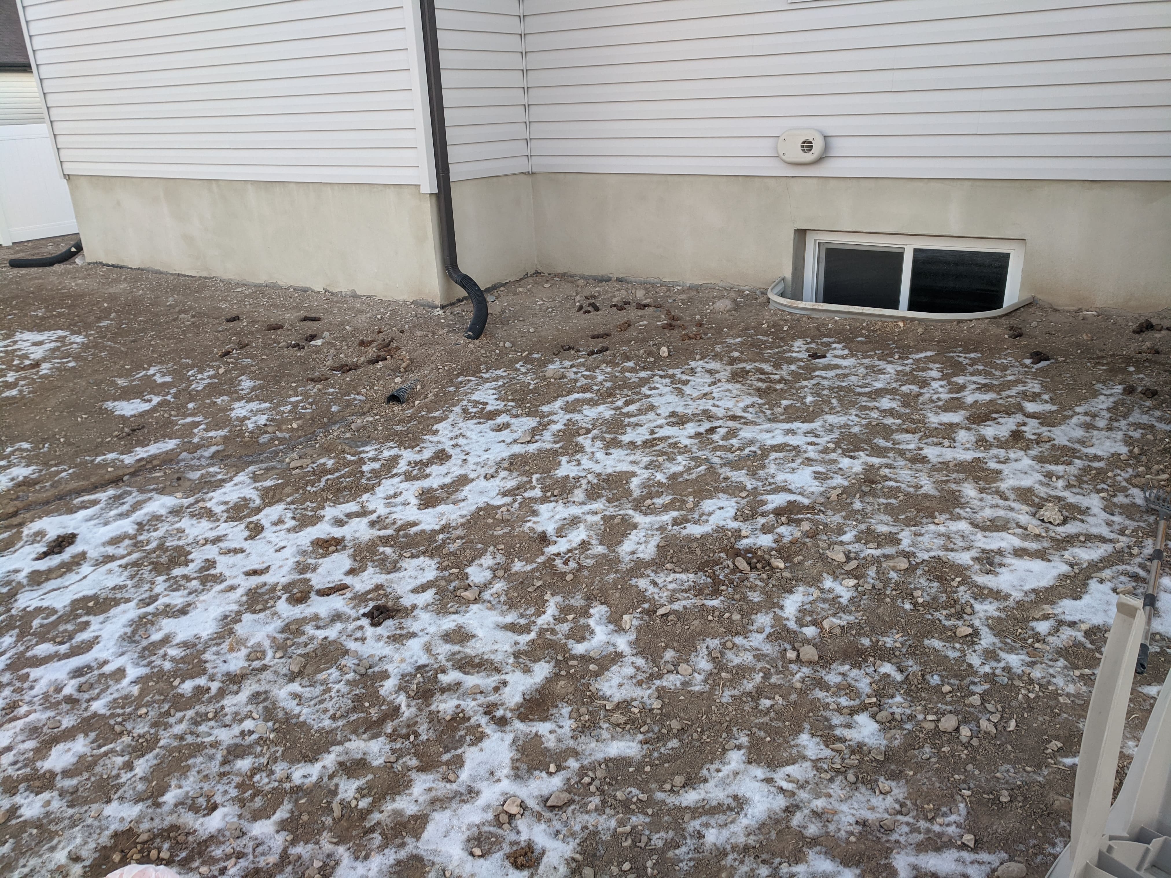 Before dog waste removal cleanup by Number Two Crew in a residential yard