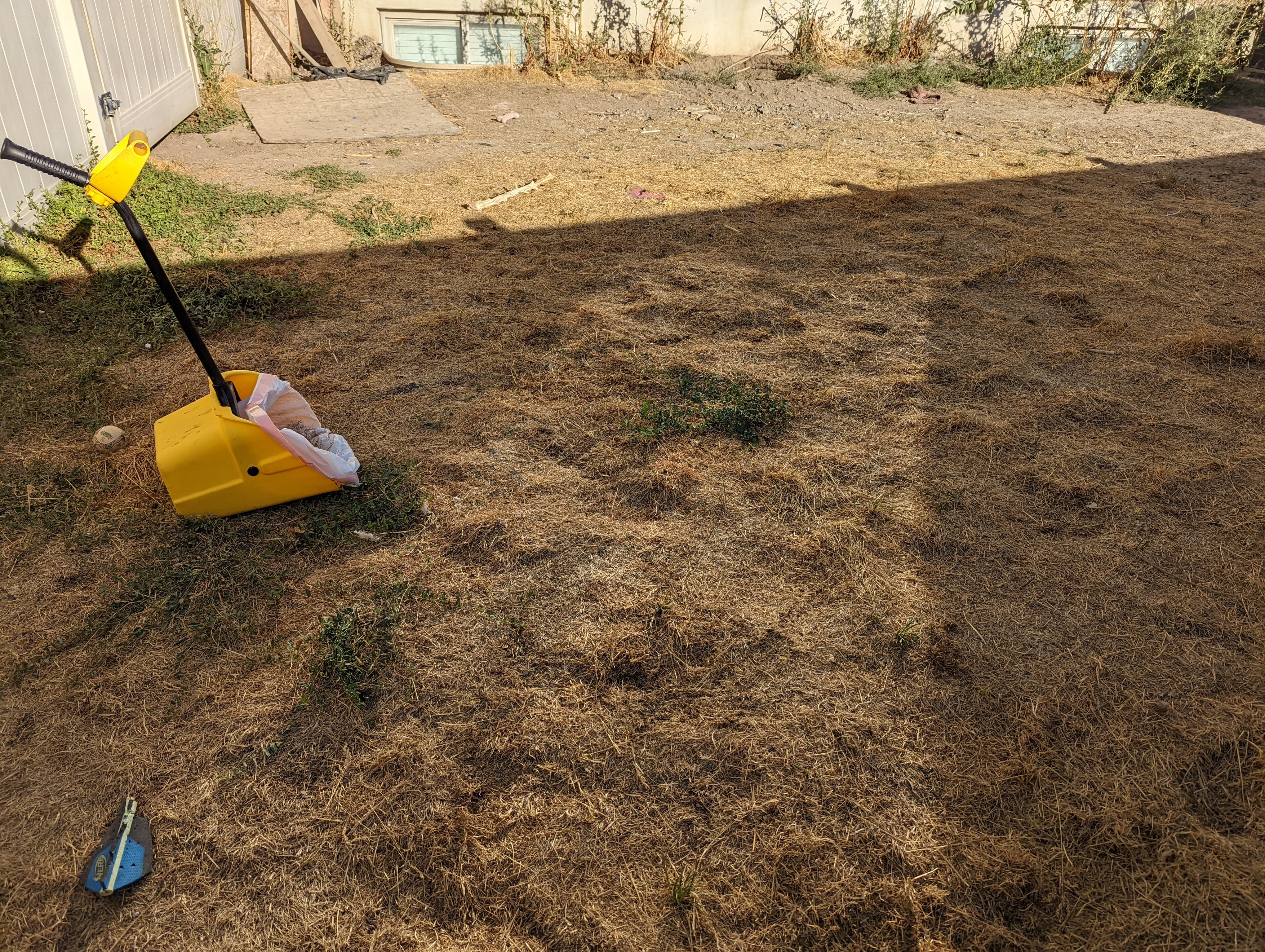 Number Two Crew dog waste removal service cleaning a residential yard