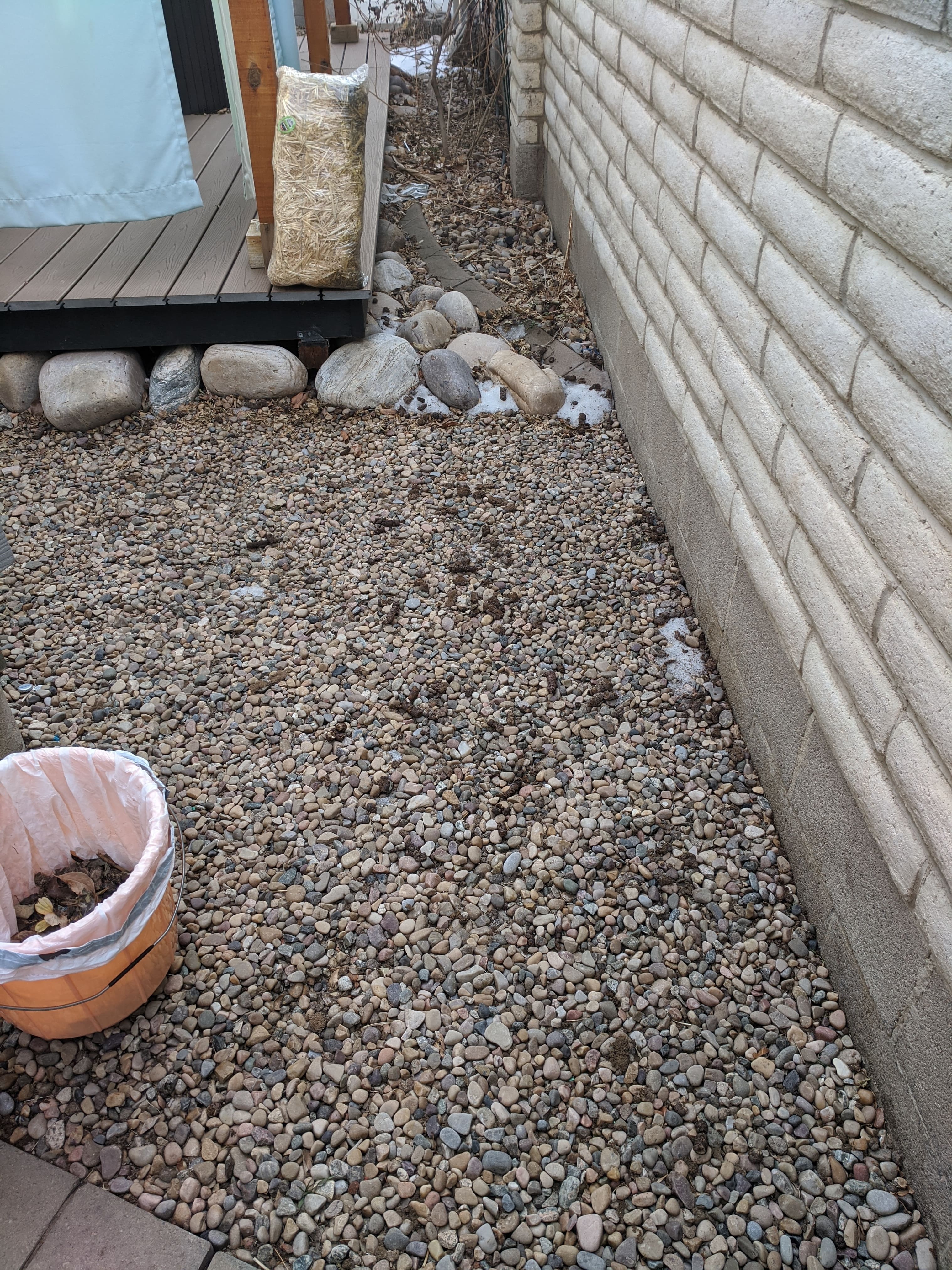Before dog waste removal cleanup by Number Two Crew on an outdoor pet area