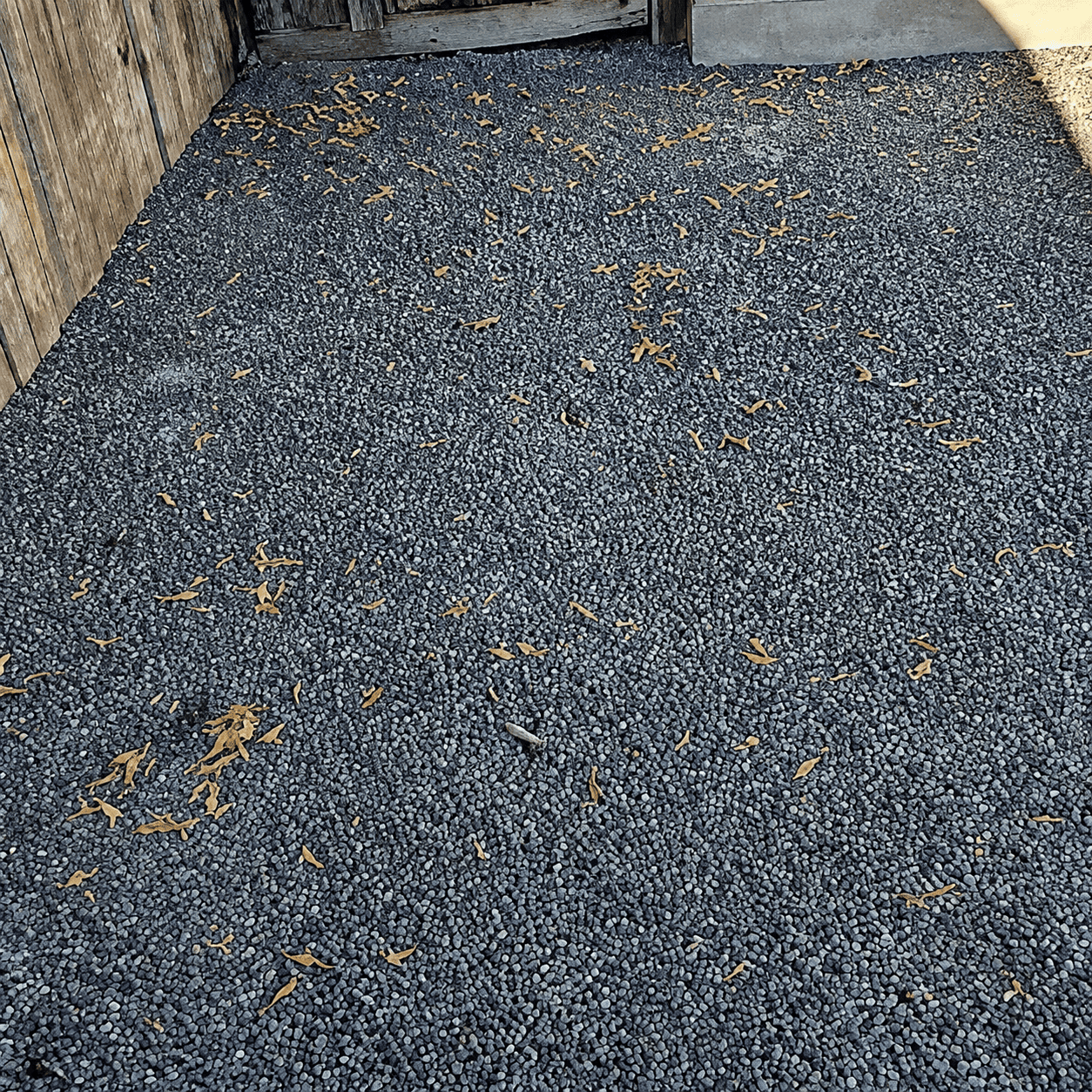 After dog waste removal cleanup by Number Two Crew in a residential yard
