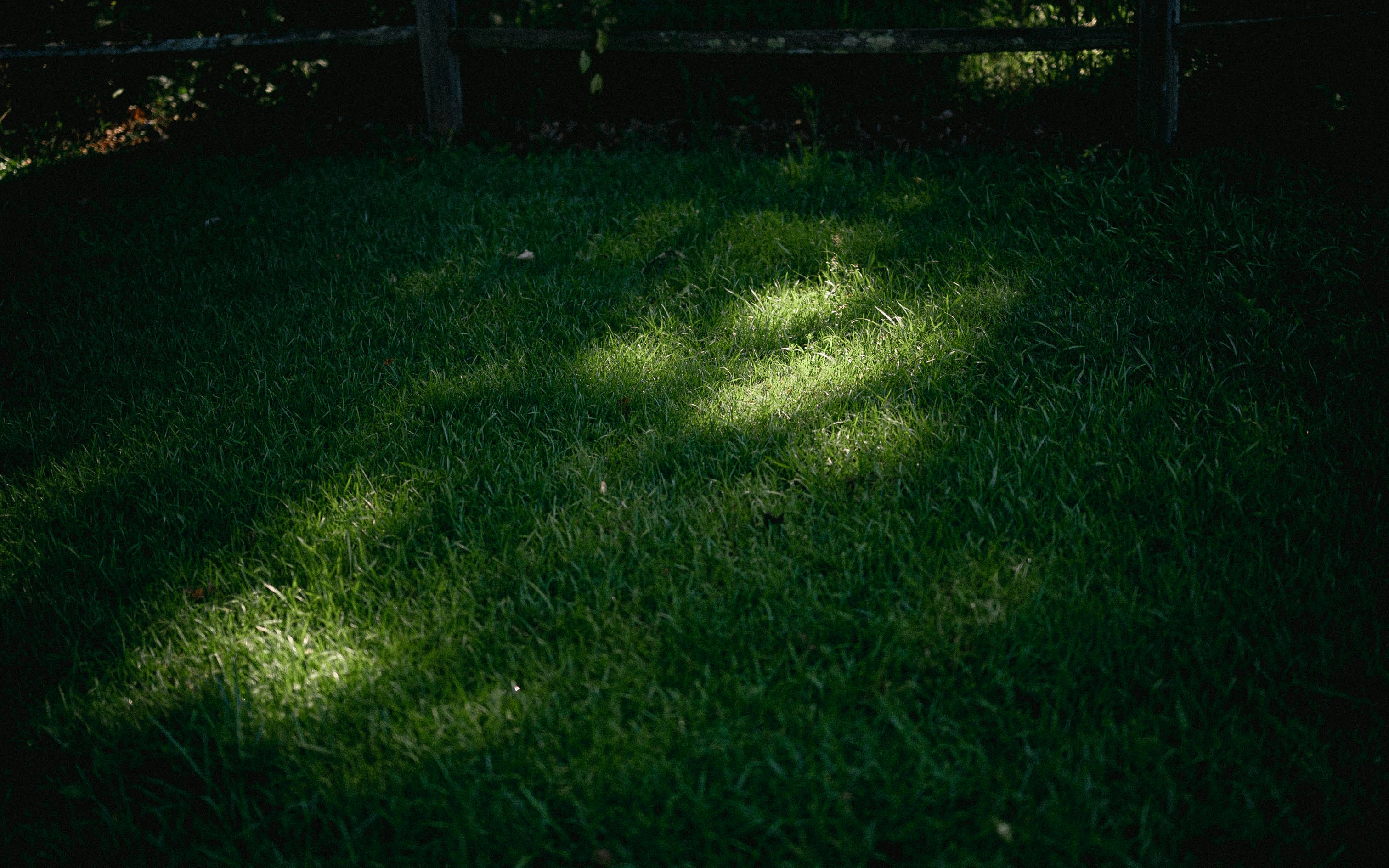 Number Two Crew yard deodorizing service treating a residential lawn