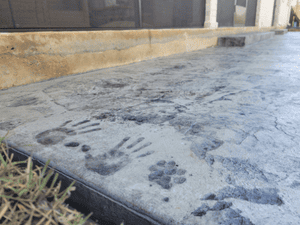 {{ custom_values.service_2 }} in {{custom_values.area_7})