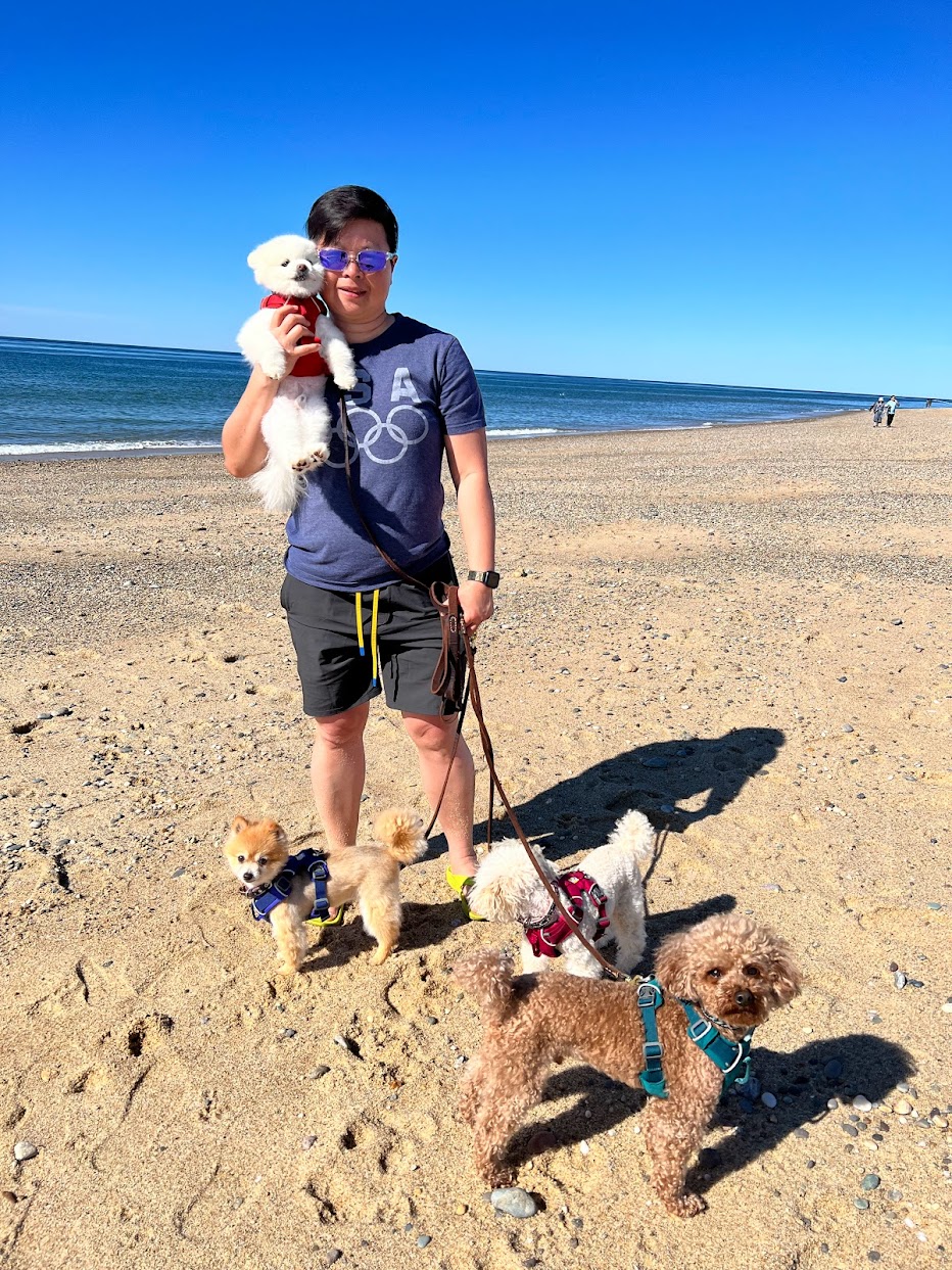 Nikki at the beach with her rescued dogs