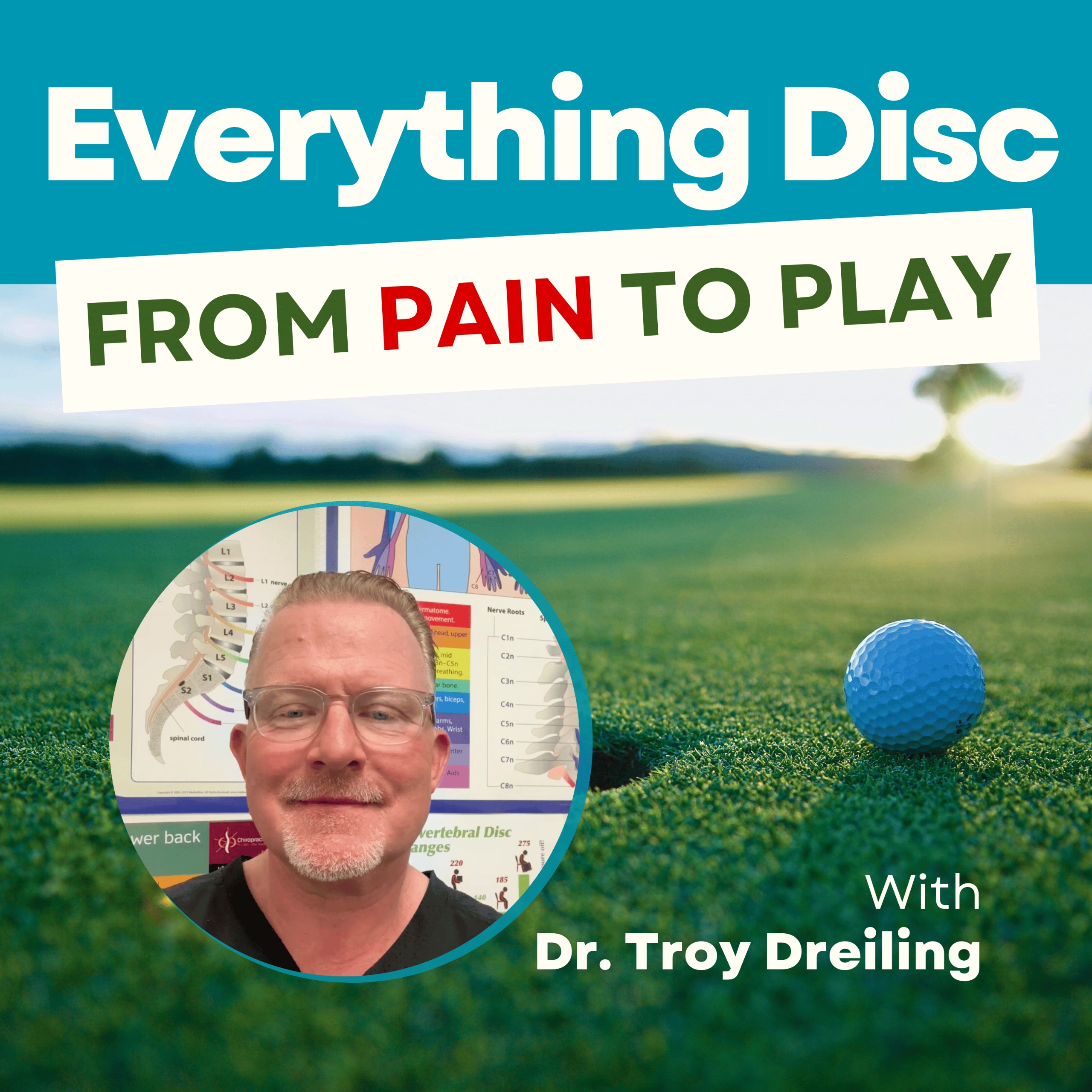 Everything Disc Podcast Logo