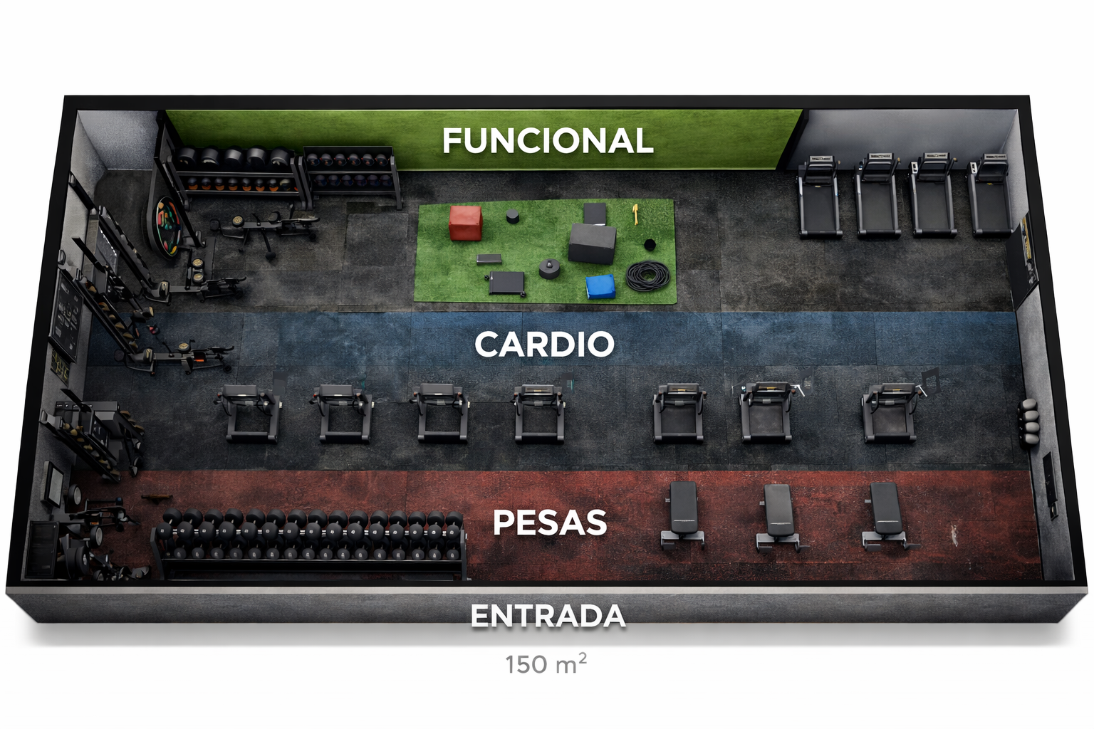 Plano detallado de distribución para un gimnasio de 150 m², destacando la organización de las zonas de pesas, entrenamiento funcional y cardio para maximizar el espacio.
