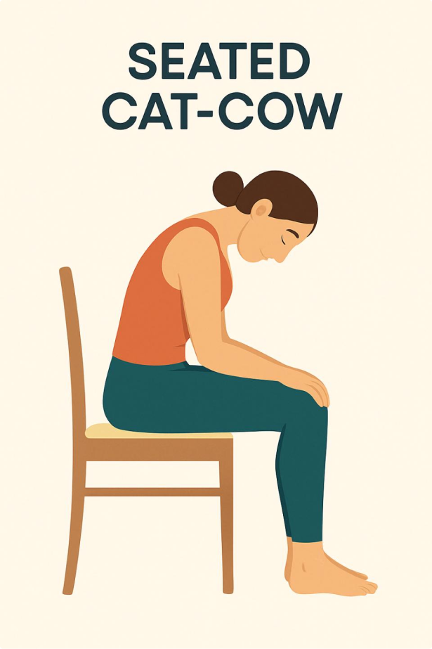 Seated Cat-Cow