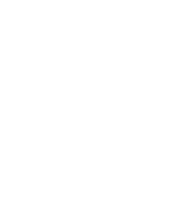 Elena Coaching