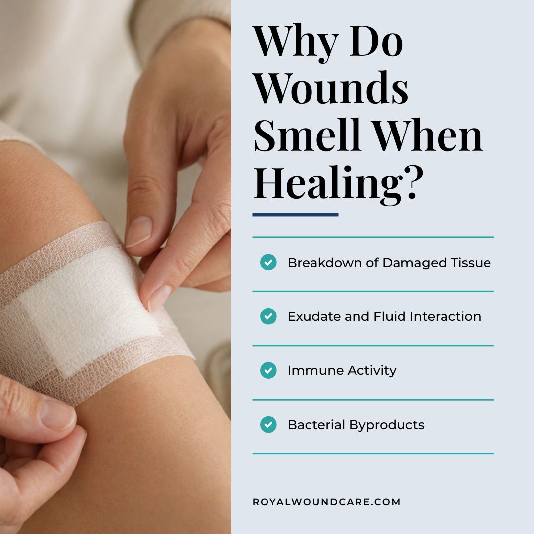 Why Do Wounds Smell When Healing