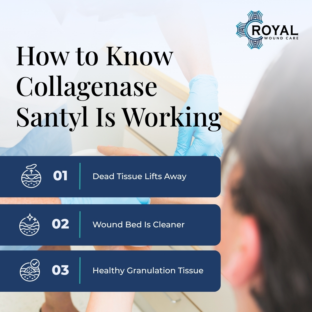 How to Know Collagenase Santyl Is Working How to Know Collagenase Santyl Is Working