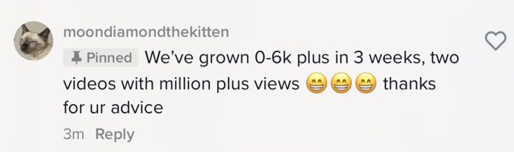 Comentario de TikTok: crecimos de 0 a 6 mil en 3 semanas, dos videos con más de un millón de vistas