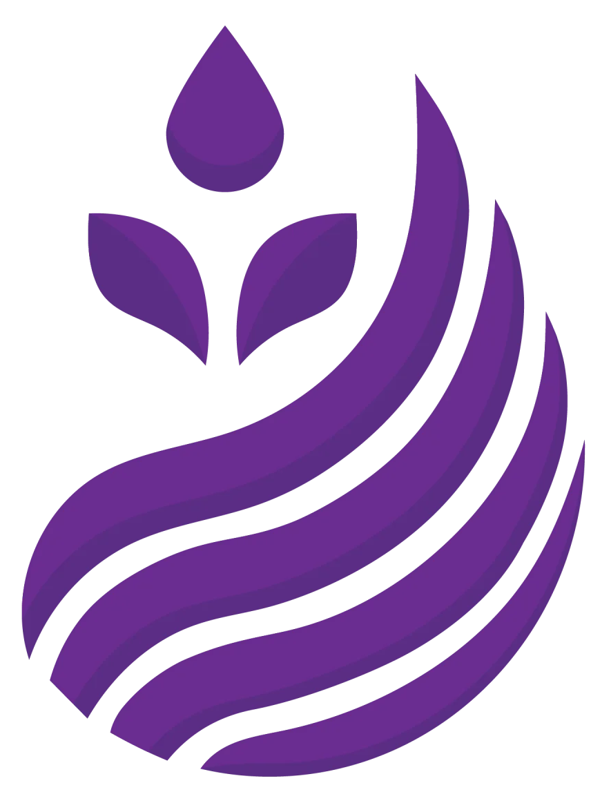 study-in-australia-iceg