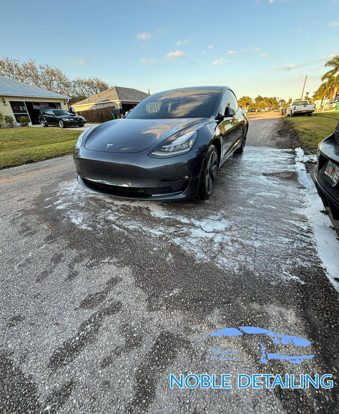 Noble Detailing work