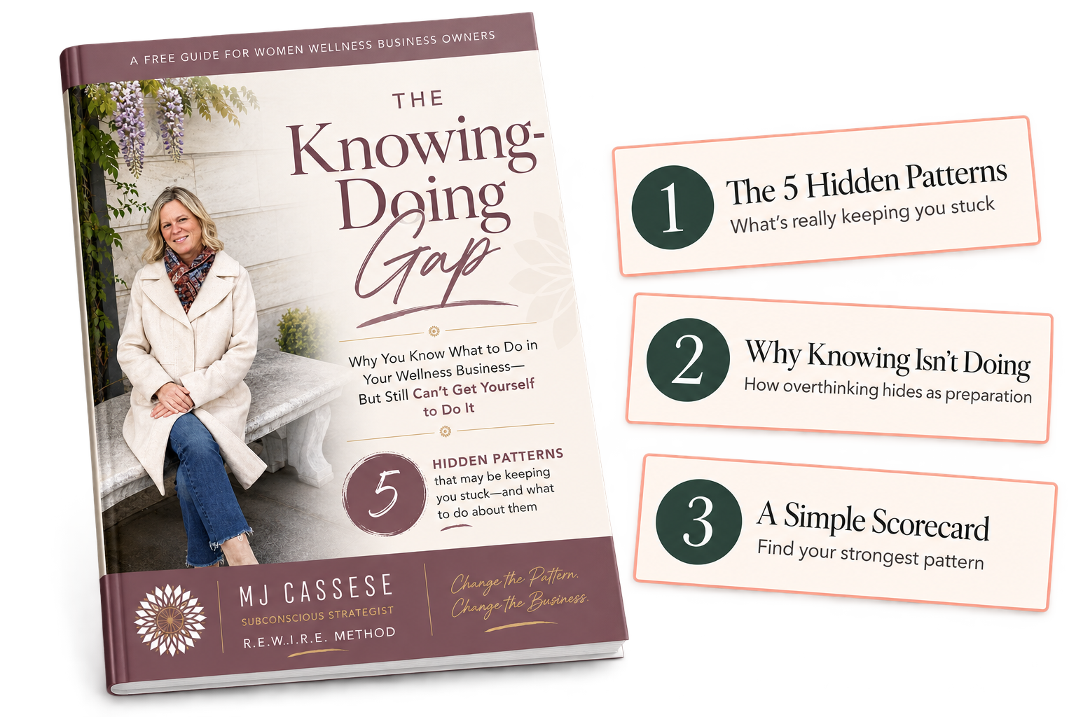 The Knowing-Doing Gap, a free guide by MJ Cassese