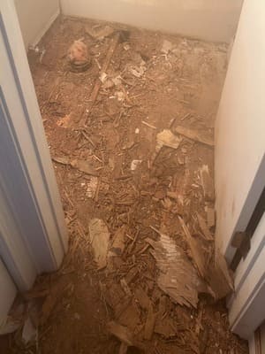 {{ custom_values.service_3 }} in {{custom_values.area_3})