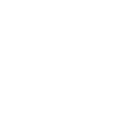 Description of the image