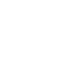 Description of the image