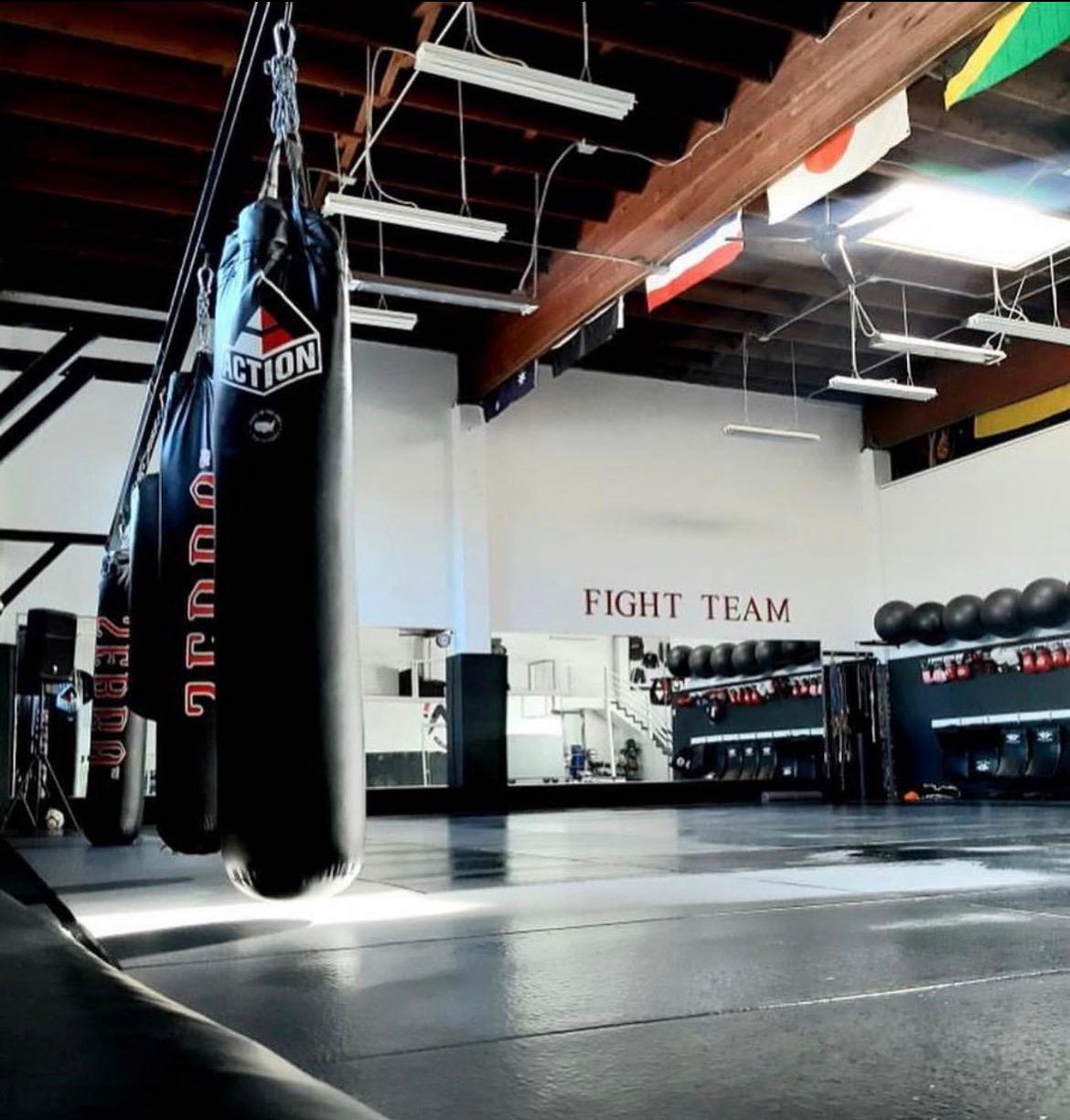 AB MMA main mat area