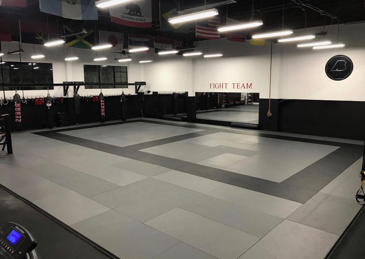 AB MMA heavy bags and Fight Team mat