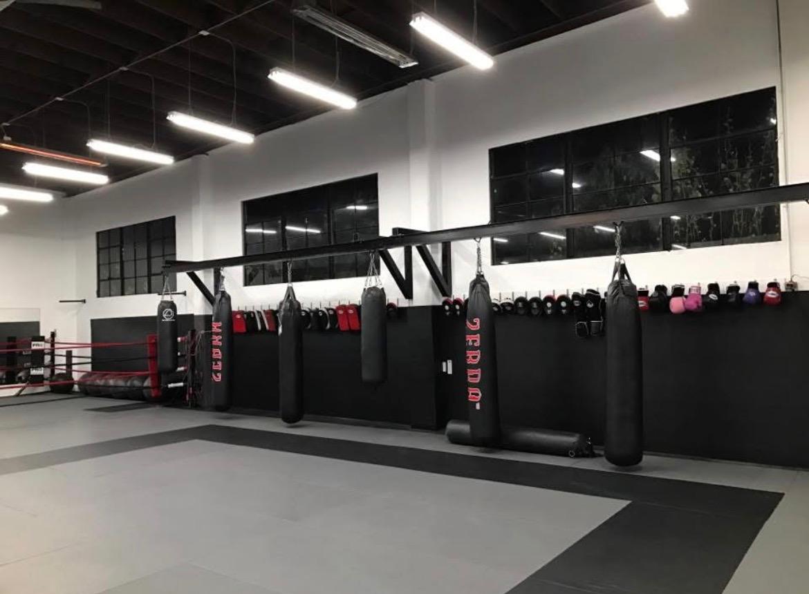AB MMA heavy bags and boxing ring