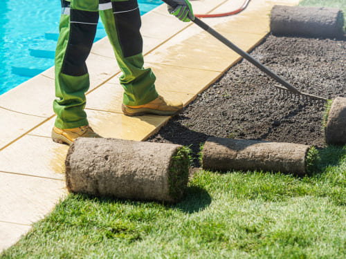 Sod Installation in Daytona Beach