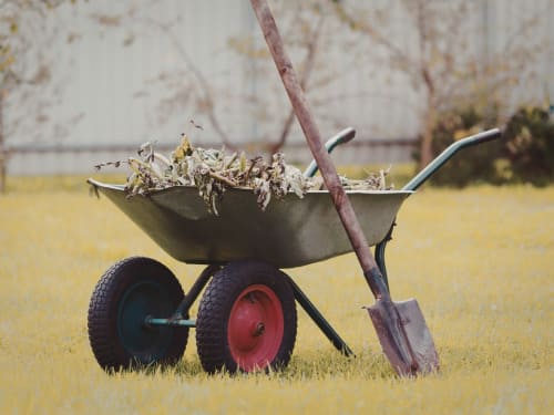Debris Removal in Daytona Beach