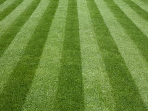 Lawn Care in Daytona Beach