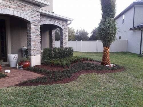 Debris Removal Daytona Beach