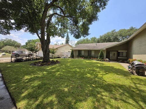 Lawn Care Daytona Beach