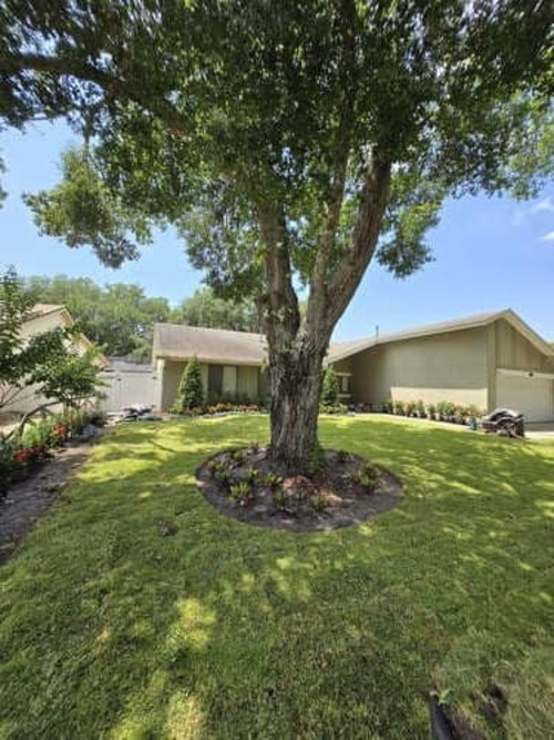 Landscaping Services Daytona Beach