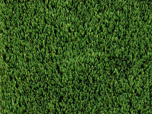 Landscaping Services