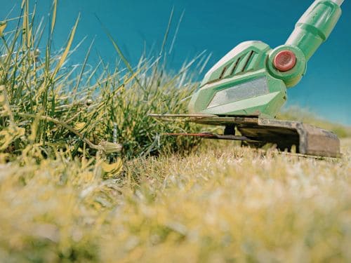 New Smyrna Beach Lawn Maintenance