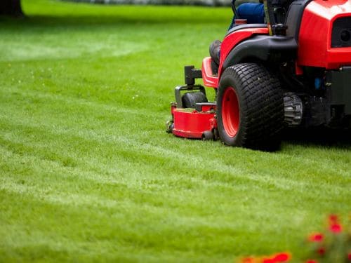  Landscaping Services