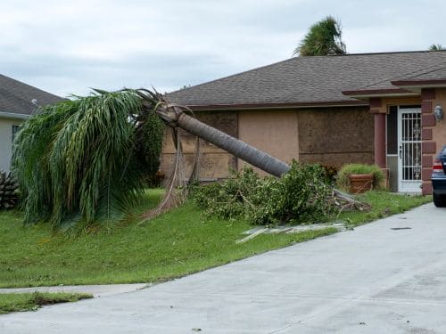 New Smyrna Beach Property Cleanups