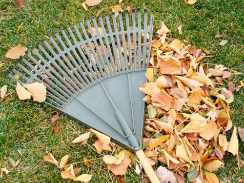 Landscaping Services