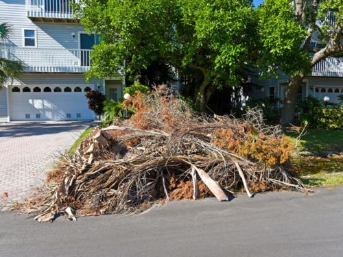  Landscaping Services