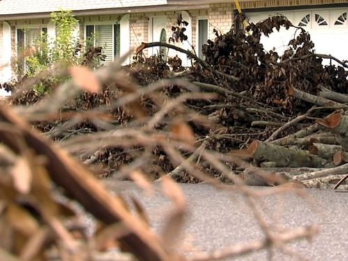 New Smyrna Beach Debris Removal