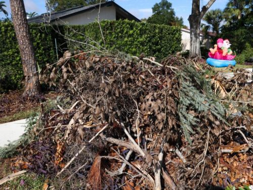  Landscaping Services